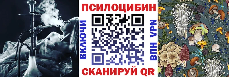 Псилоцибиновые грибы MAGIC MUSHROOMS  дарнет шоп  Надым 