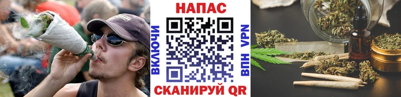 как найти   Надым  Марихуана индика 